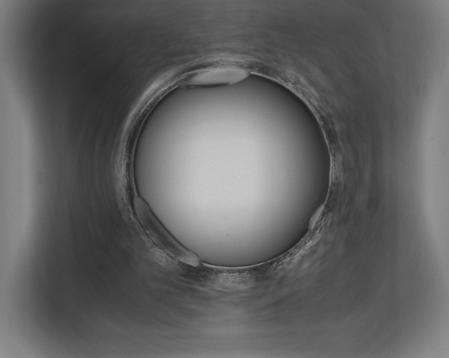 X0000110710101200906121104