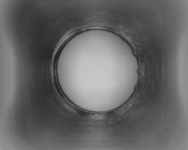 X0000110710102200906121104