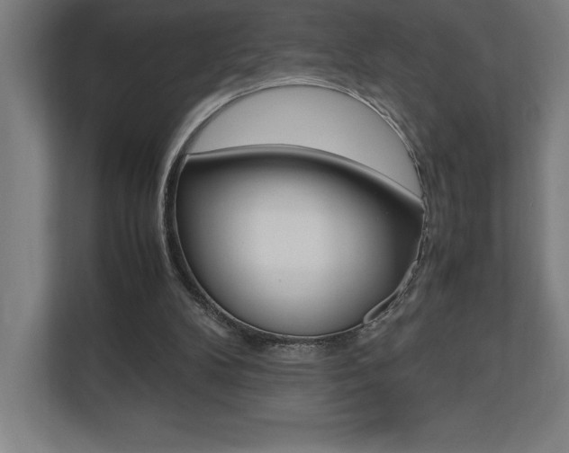 X0000110710104200906121104