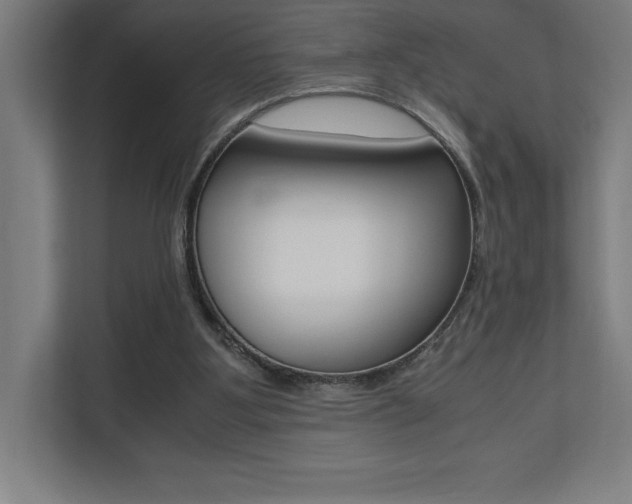 X0000110710107200906121104