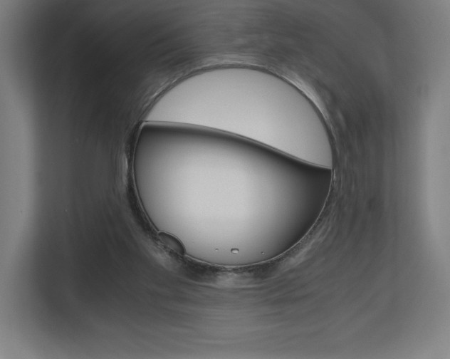 X0000110710109200906121104