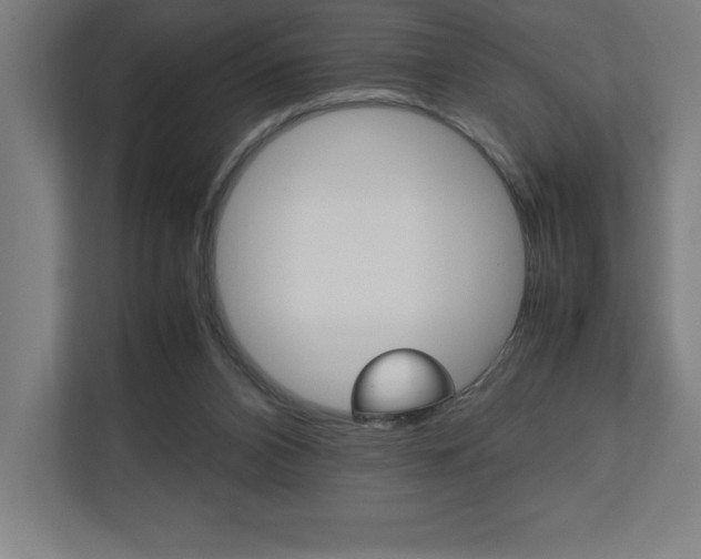 X0000110710112200906121104