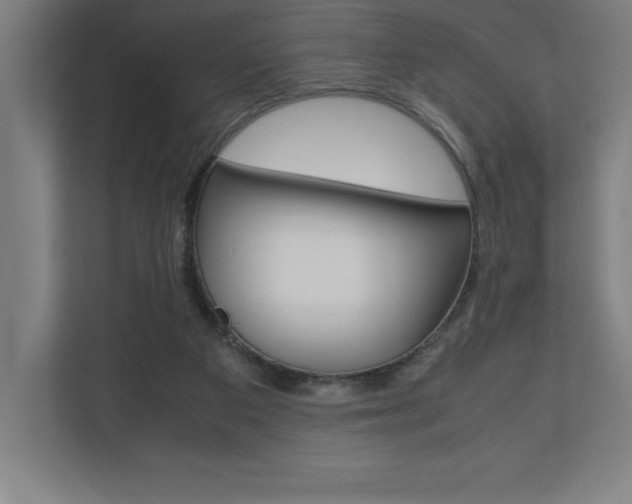 X0000110710113200906121104