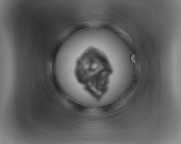 X0000110710117200906121104