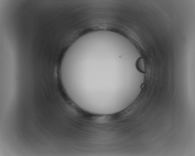 X0000110710122200906121103
