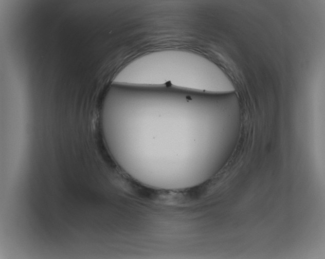 X0000110710125200906121103