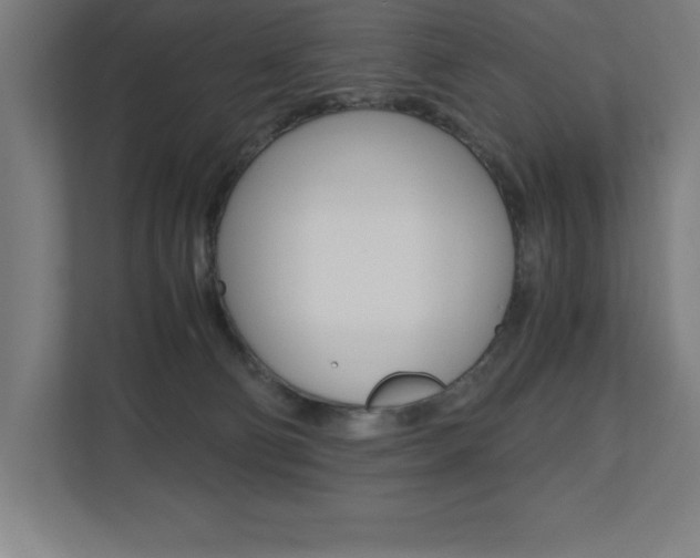 X0000110710130200906121103