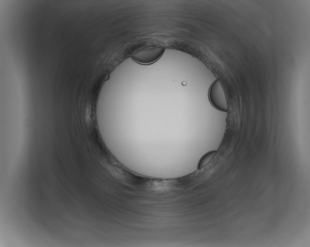 X0000110710134200906121103