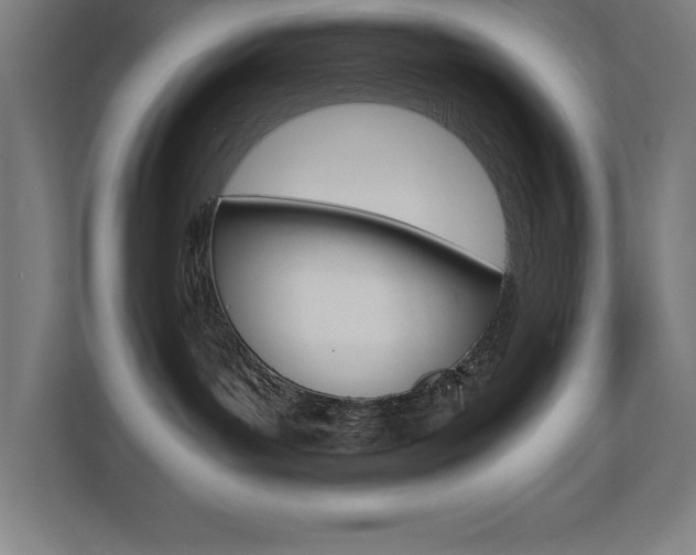 X0000110710143200906121103
