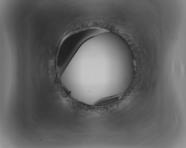 X0000110710144200906121103