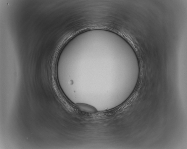 X0000110710145200906121103