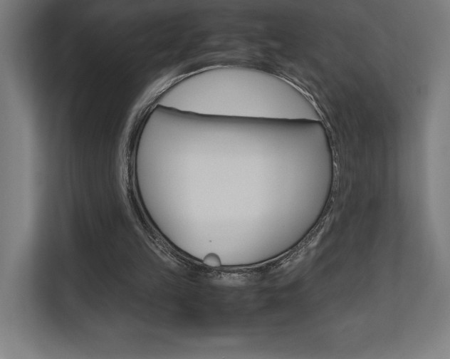 X0000110710149200906121103