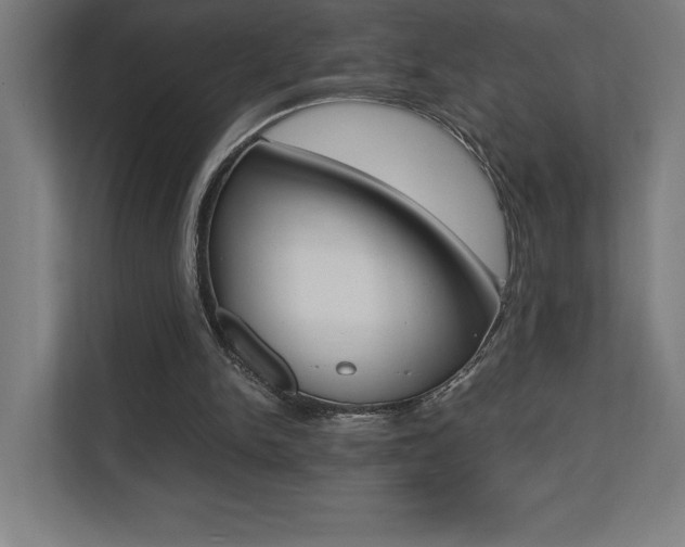 X0000110710150200906121103