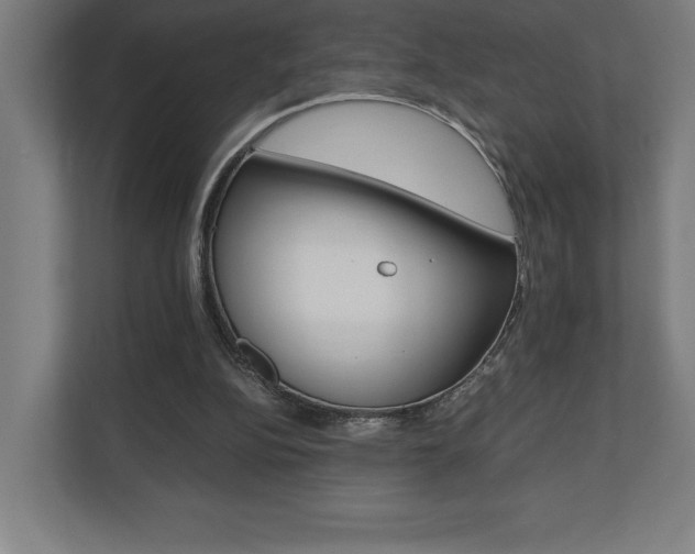 X0000110710152200906121103