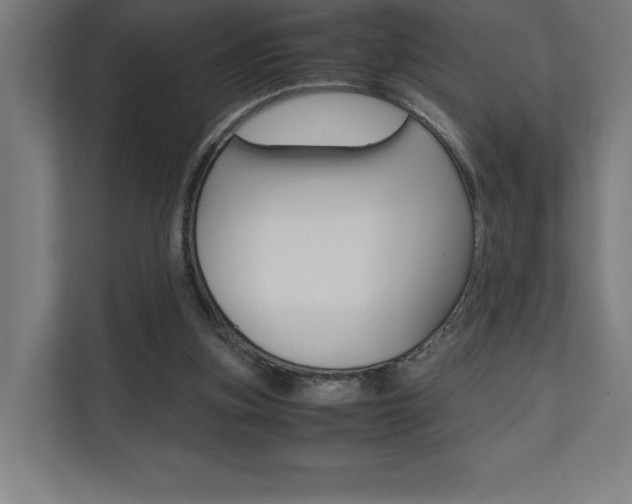 X0000110710155200906121103