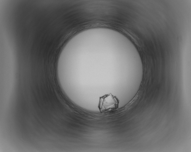 X0000110710158200906121103
