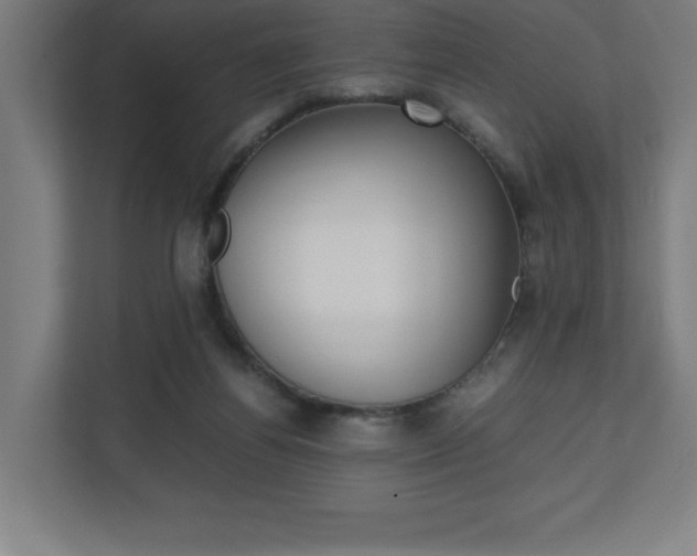X0000110710164200906121103