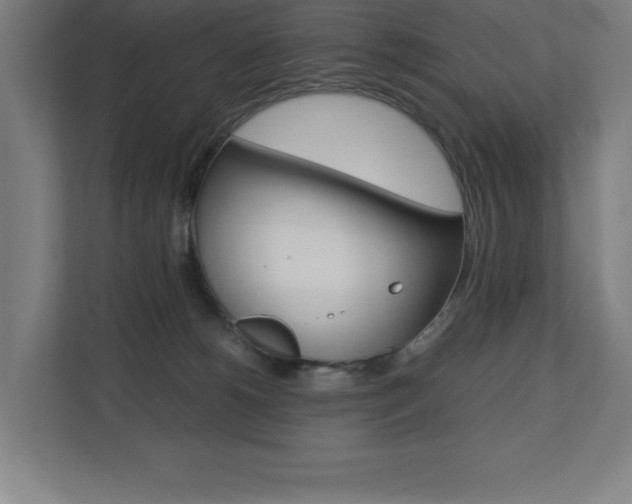 X0000110710180200906121103