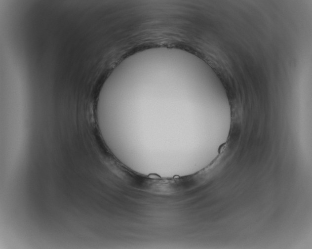 X0000110710182200906121103