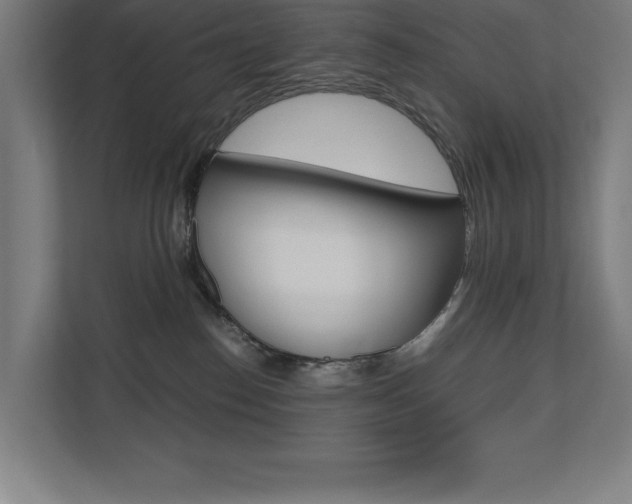 X0000110710186200906121103