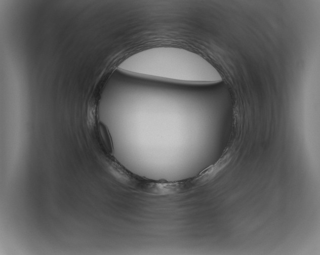 X0000110710188200906121103