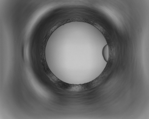 X0000110710189200906121103