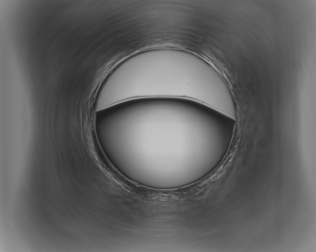 X0000110710193200906121103