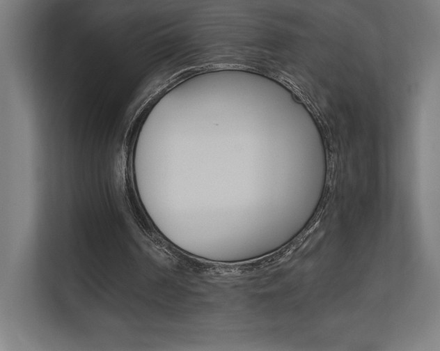 X0000110710194200906121103