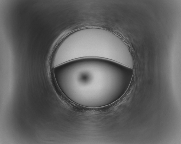 X0000110710197200906121102