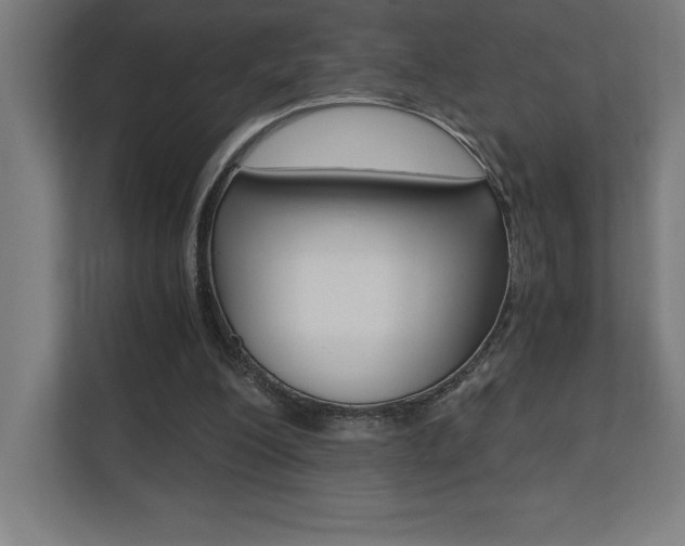 X0000110710200200906121102