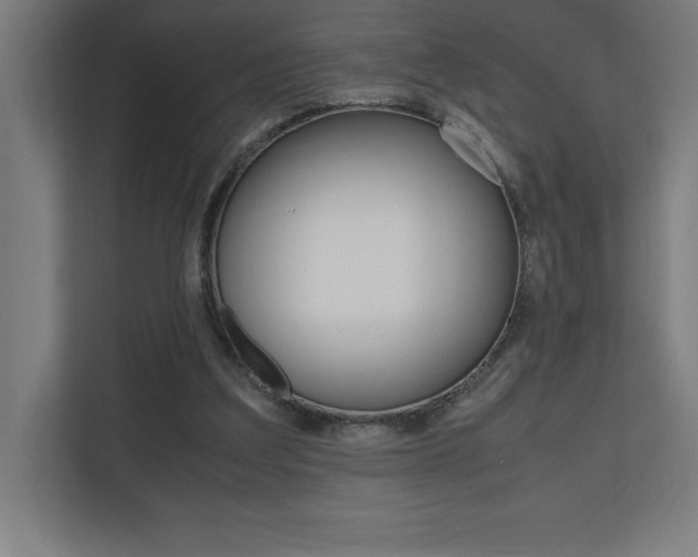 X0000110710203200906121102