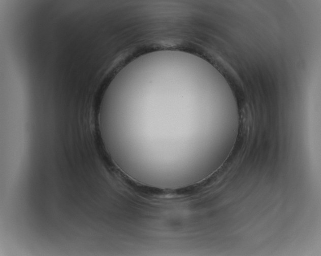 X0000110710212200906121102