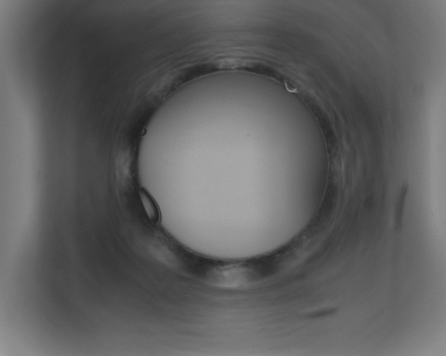 X0000110710219200906121102