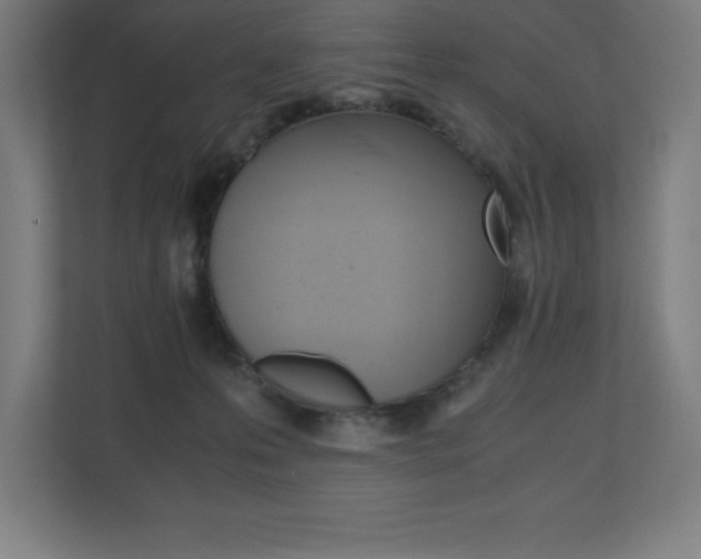 X0000110710223200906121102