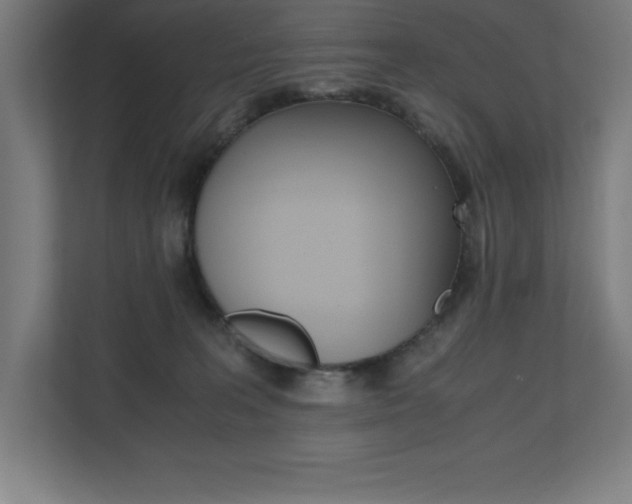X0000110710227200906121102