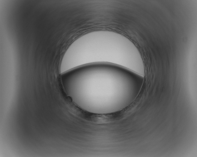 X0000110710229200906121102