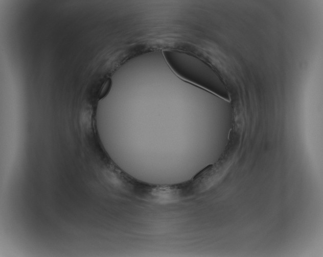 X0000110710231200906121102