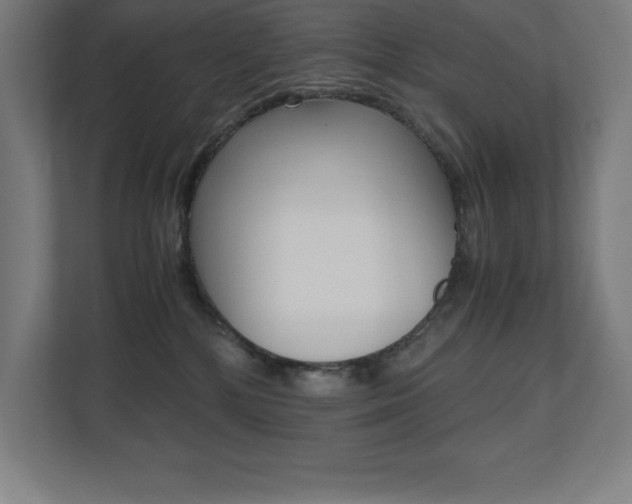 X0000110710232200906121102