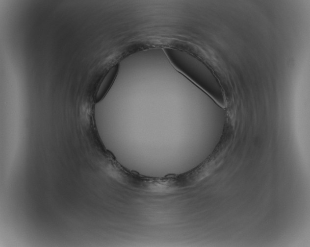 X0000110710235200906121102