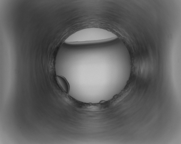 X0000110710236200906121102