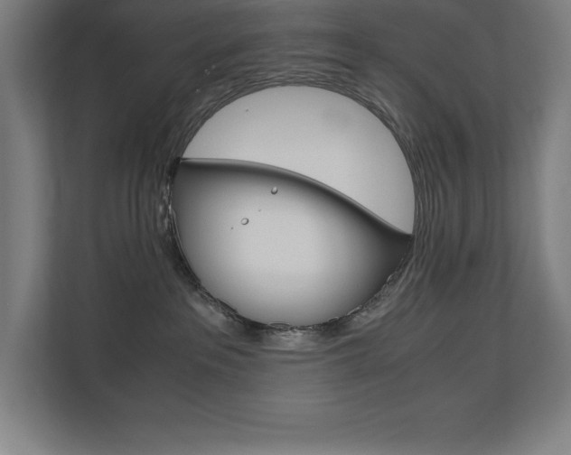 X0000110710237200906121102