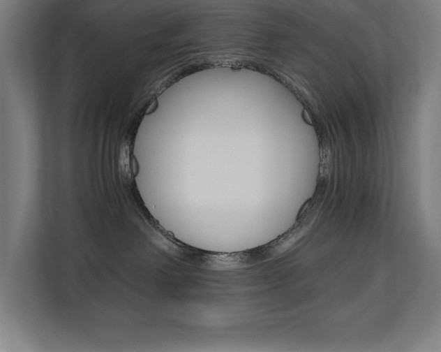 X0000110710238200906121102