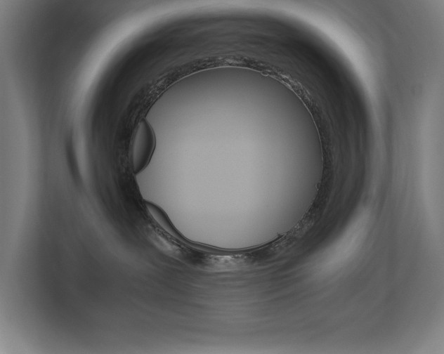 X0000110710239200906121102