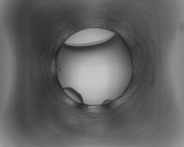 X0000110710240200906121102
