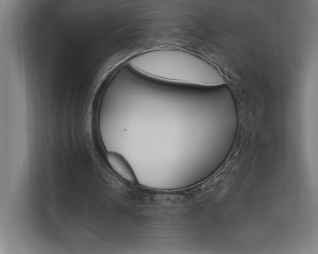 X0000110710242200906121101