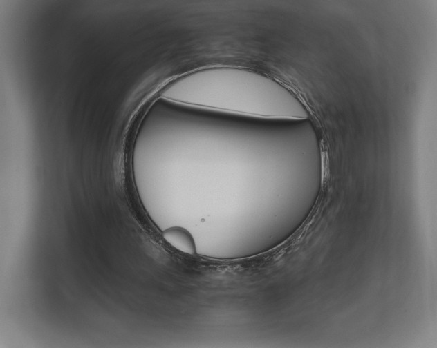X0000110710243200906121101