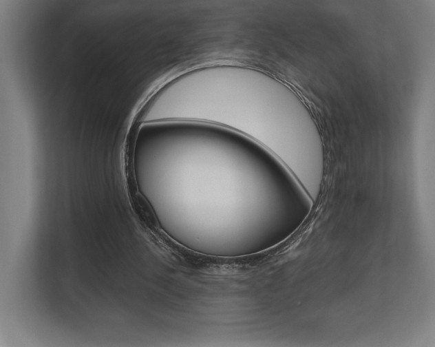 X0000110710244200906121101
