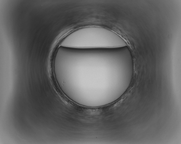X0000110710245200906121101
