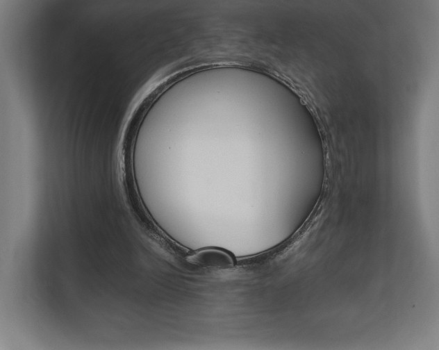 X0000110710246200906121101
