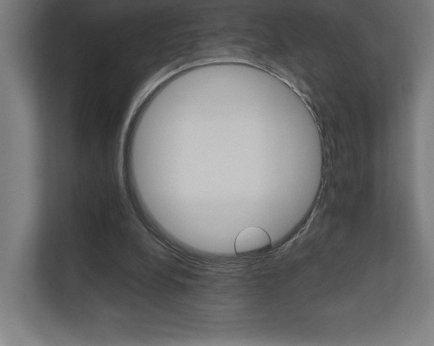 X0000110710248200906121101